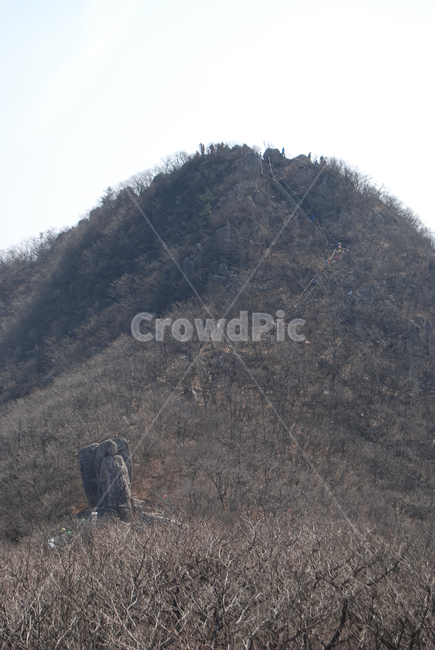 봄,spring,탐방로,trail,tree,나무,휴양지,자연,풍경,nature,landscape,outdoors,옥외