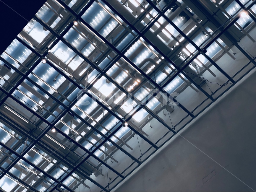 천장,햇빛,빛,파란색,미술관,건축물,건물외관,exterior,building,structure,architecture,construction