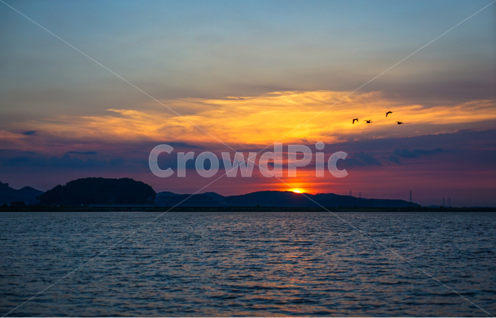 바다,하늘,구름,석양,해넘이,일몰,해질녁,자연,풍경,nature,landscape,outdoors,옥외,sunset,red sky,붉은 하늘,sky,dusk,황혼,dawn,새벽,animal,동물,bird,새
