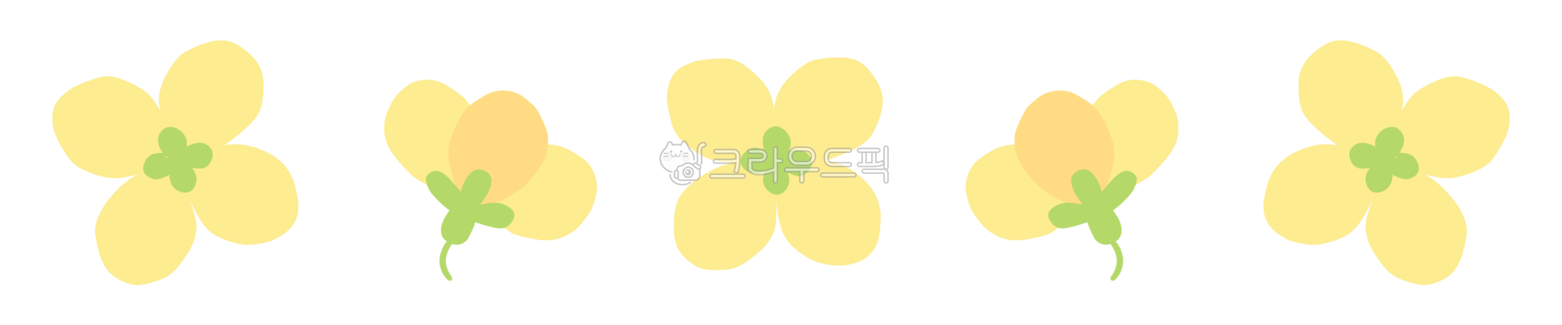 유채꽃,봄꽃,꽃,꽃디자인,봄,노란꽃,rapeblossom,flower,yellowflower,spring,yellow,노랑색,식물,자연,꽃라인장식,꽃장식,라인장식,식물라인,식물장식,배경꾸미기,배경장식,linedeco,ornament,plant,nature,가장자리장식,봄테마,springtheme,borderline