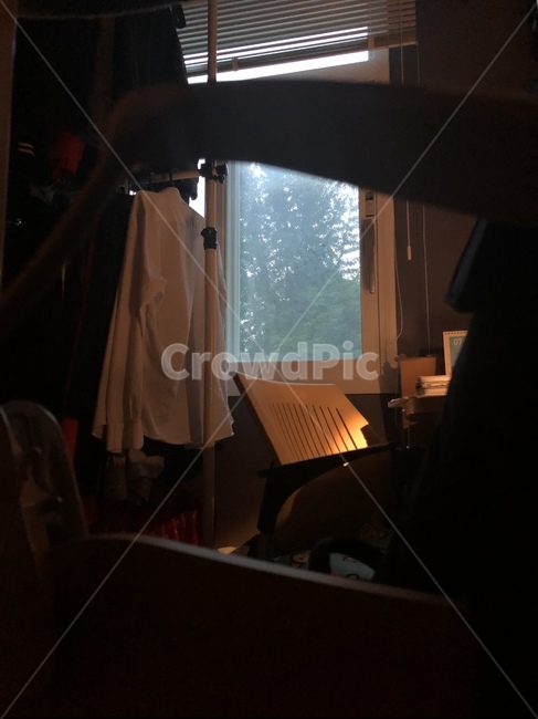 주황,furniture,가구,실내,비오는날,비,구름,나무,그림자,조명,indoor,tree,wood,shadow,rain,rainy,cloud,bright
