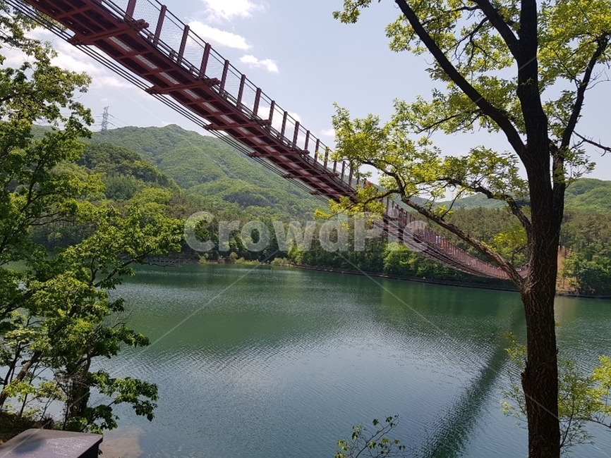파주,마장호수,출렁다리,흔들다리,자연,산,나무,호수,bridge,nature,mountain,tree,lake,건축물,건물외관,exterior,building,structure,architecture,construction