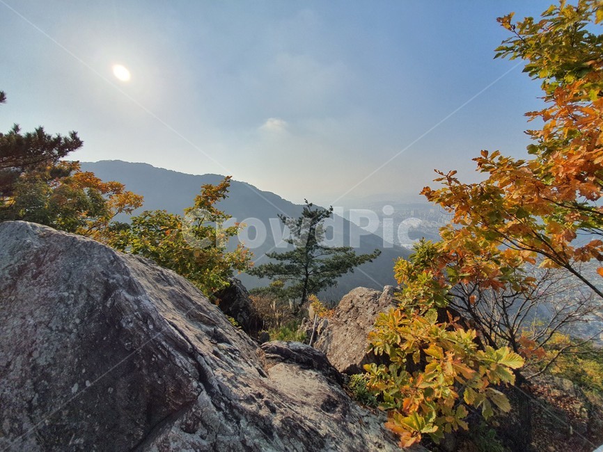 nature,자연,단풍,산,가을,autumn,단풍나무,가을산,계절,tree,나무,풍경,가을,계절,fall,autumn,season,자연,풍경,nature,landscape