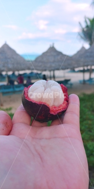 열대과일,망고스틴,알맹이,fruit,mangosteen,kernel