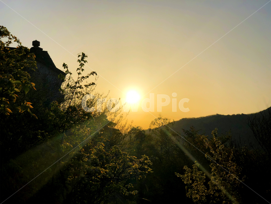 아침,해,숲,빛,태양,나무,자연,풍경,nature,landscape,flare,플레어,light,sunlight,햇빛