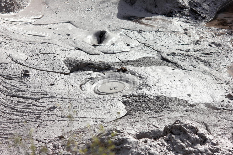 진흙,mud,로토루아,테푸이아,휴화산,자연,풍경,nature,landscape
