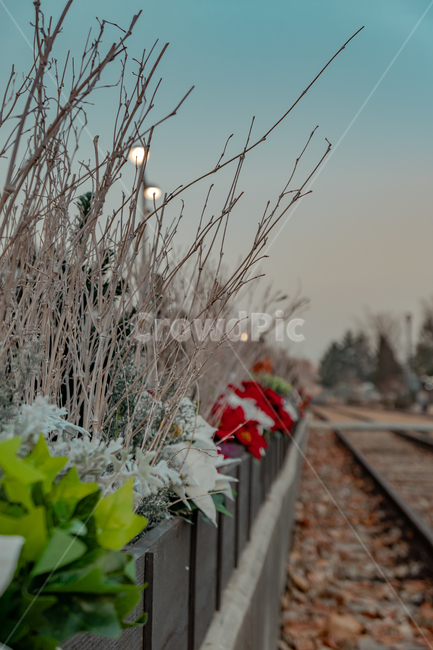 크리스마스,조화,나뭇가지,철도,rail,레일,기찻길,transportation,교통,화랑대역,저녁,석양,노을,railway,traintrack,기차