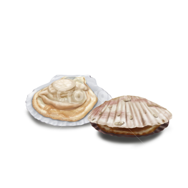 음식,식재료,food,일러스트,png,디저트,dessert,음식,식재료,요리,food,cook,meal,dishes,food reserves,그래픽,일러스트레이션,graphic,illustration