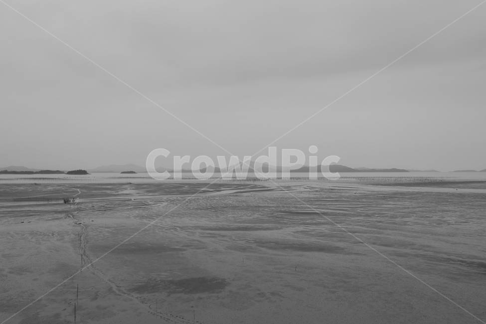 갯벌,자연,바다,흑백,nature,sky,blackandwhite,계절,season,감성