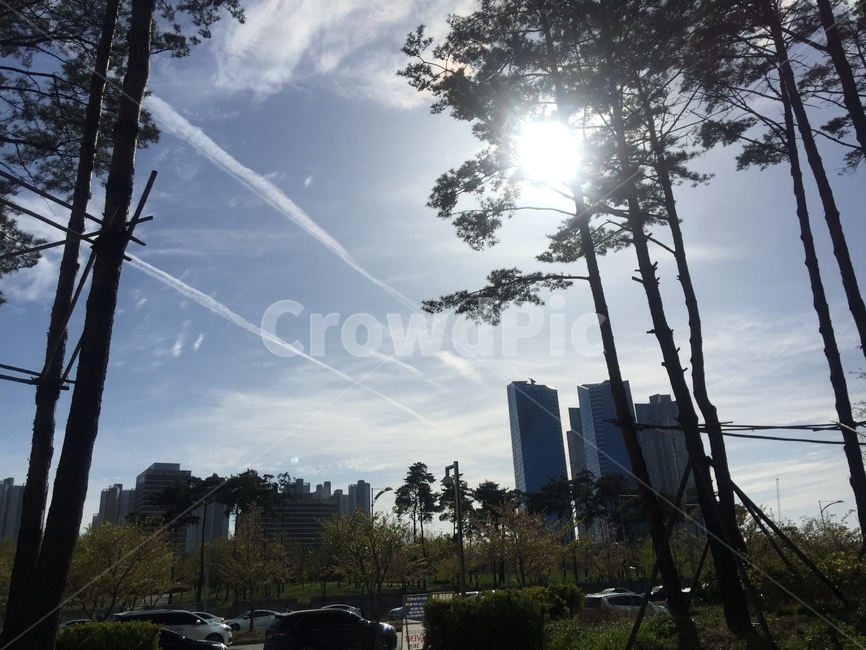 하늘,구름,도시,풍경,배경