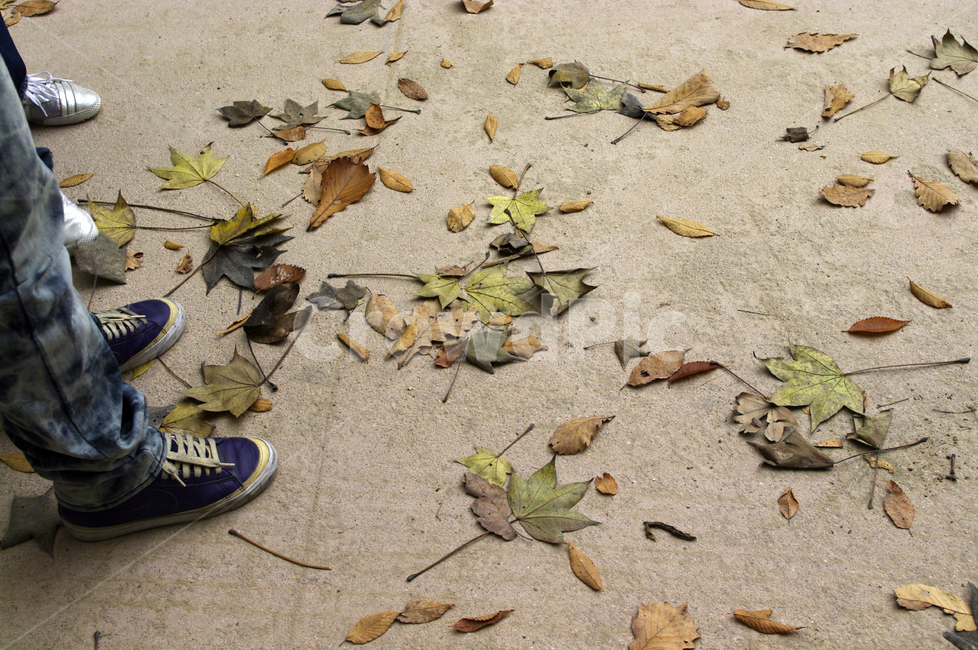 가을,fall,plant,단풍,잎,낙엽,가을,계절,fall,autumn,season,사람,인물,인간,human,person,신체일부,몸,body