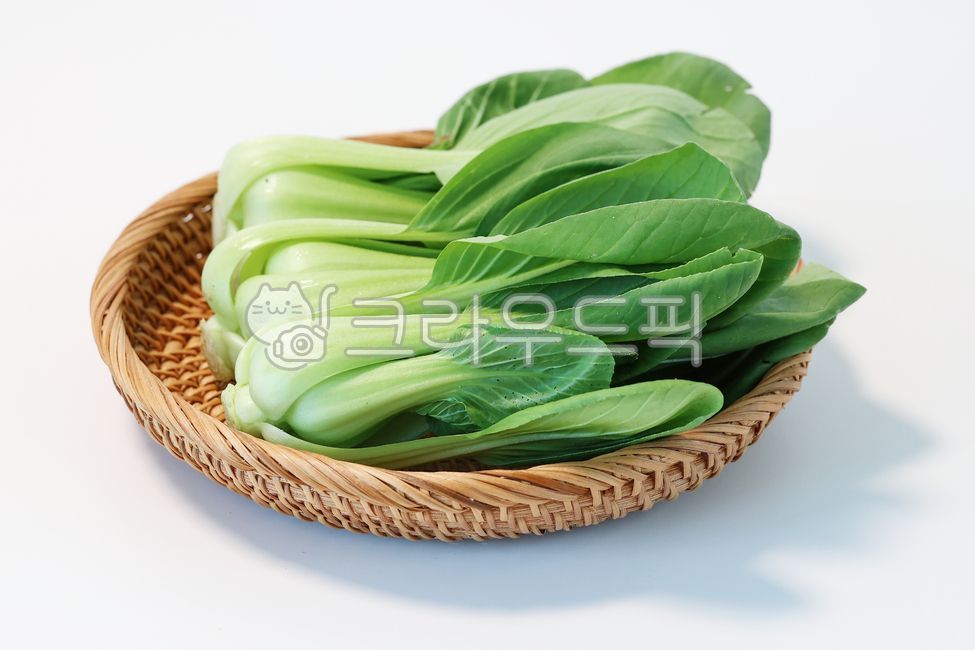 청경채,식재료,야채,채소,pakchoi,bokchoy,food,vegetable,음식,농산물,요리재료