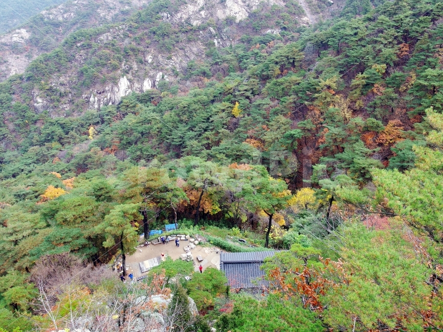 가을,단풍구경,경주남산,남산,칠불암,등산,가을풍경,여행,템플스테이,사찰,통일전,경주,배경화면,천년고도,산행,삼릉,가을,계절,fall,autumn,season,자연,풍경,nature,landscape,한국자연풍경,한국자연경관,korea nature landscape,종교,신앙,religion,belief,faith,vegetation,초목,plant,식물,outdoors,옥외,scenery,tree,나무