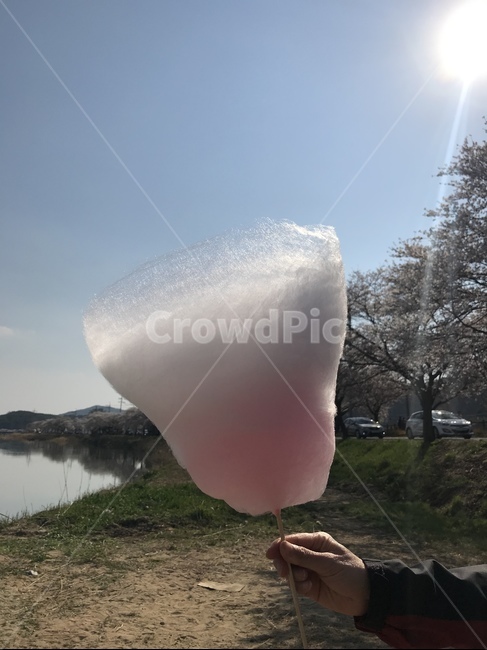달달함,솜사탕,벚꽃축제,예쁜솜사탕,디저트
