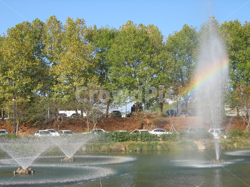 무지개,나무,분수,담양,영산강,여름,자연,풍경,nature,landscape,water,물,fountain