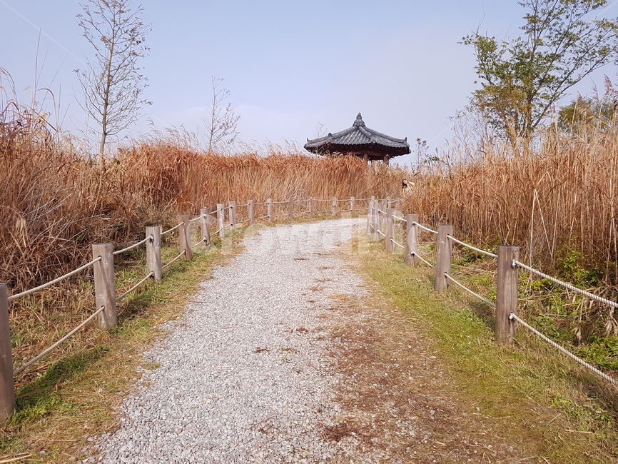 흙길,자갈,갈대,자갈길,하늘,풍경,가을,계절,fall,autumn,season,dirt road,gravel,road,도로