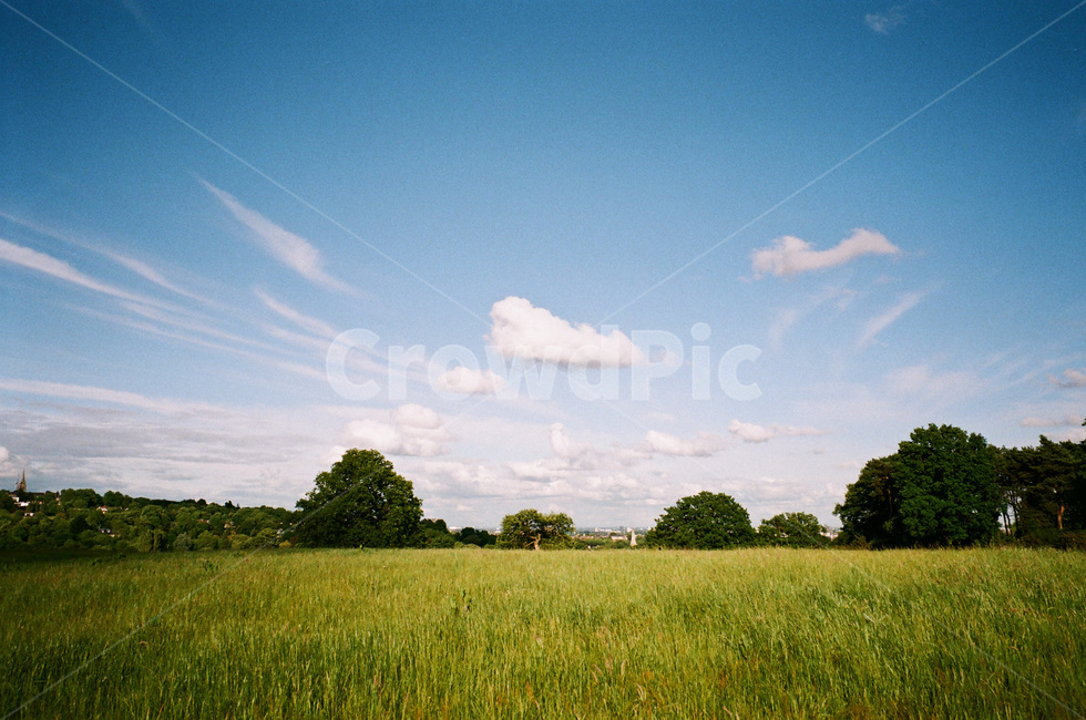 초원,들판,하늘,풍경,field,푸른들판,greenfields,드넓은들판,openfield,초록색들판,greenfield,grassland,sky,landscape,초록,green,구름,cloud,흰구름,whitecloud,평온한,평화로운,peaceful,나무,tree,파란하늘,bluesky,자연,풍경,nature,landscape,목초지,들,outdoors,옥외,grass,잔디,plant,식물
