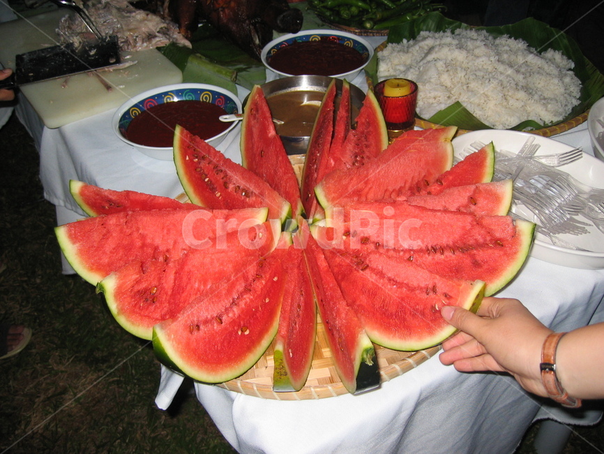 필리핀,philippines,식물,plant,fruit,과일,수박,watermelon