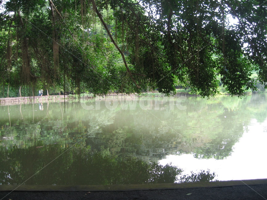 pond,연못,자연,물,water,자연,풍경,nature,landscape