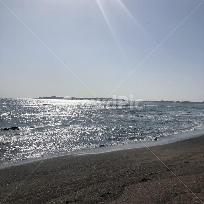 제주도,바다,자유,풍경,여유,파도