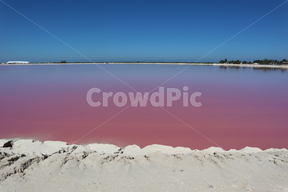pink,mexico,Yucatan,Mexico,Pink Lagoon,lake