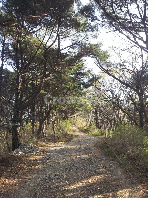 산,길,나무,땅,자연,mountain,road,tree,land,nature