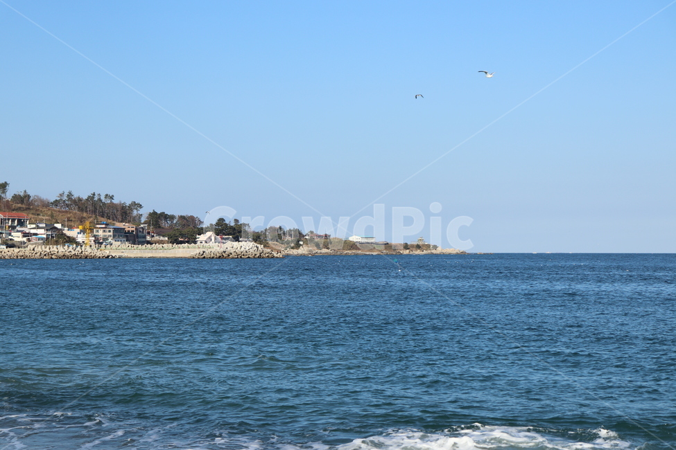 경주,바다,바닷가,파도,가을바다,자연,풍경,nature,landscape,land,땅,outdoors,옥외,water,물,sea,ocean,대양,shoreline,해안선,coast,연안,bird,새,animal,동물