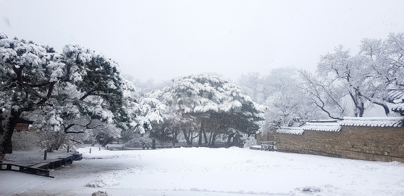 창덕궁,설경,첫눈,서설,고궁,palace,firstsnow,changdeokgungpalace,겨울,계절,winter,season,한국전통,한국문화,korean traditional,korean culture,건축물,건물외관,exterior,building,structure,architecture,construction