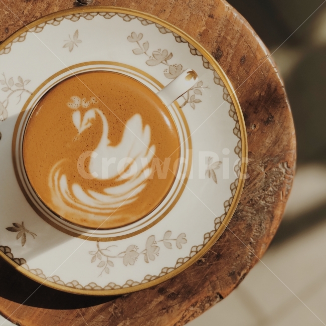백조,우아한,햇살,감성분위기,여유,커피,카페,coffee,cafe,감성,sensible,feeling