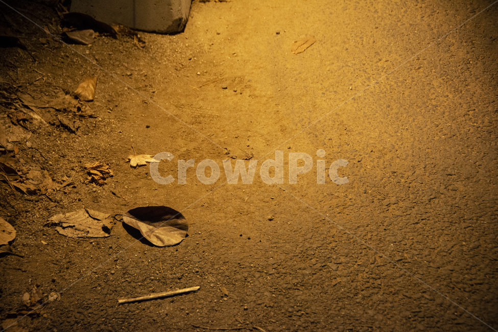 낙엽,불빛,겨울,밤,길,바닥,fallenleaves,leaf,winter,night,road,way,야경,밤,풍경,nightscape,night,landscape,ground