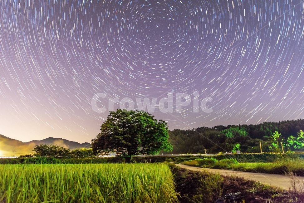 별,야경,풍경,자연,나무,자연,풍경,nature,landscape,야경,밤,nightscape,night,식물,plants,나무,trees,wood,outdoors,옥외,field,들,grassland,목초지
