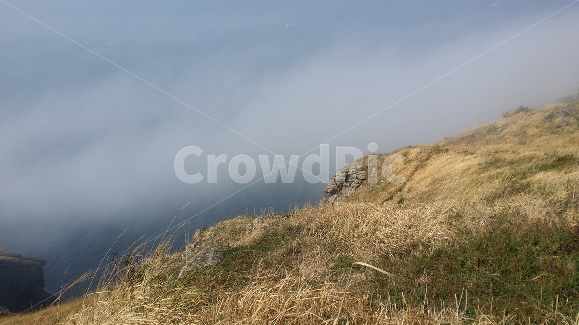 새벽안개,제주도,jejuisland,오름,fog,자연,풍경,nature,landscape,outdoors,옥외,weather,날씨