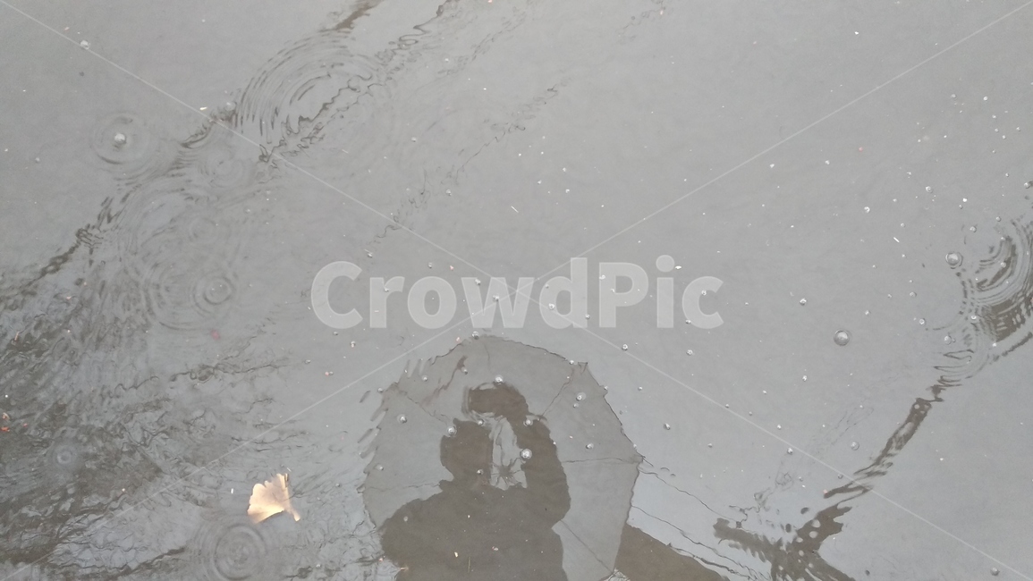 물웅덩이,빗물,비침,반사,우산,남자,비,비오는날,rain,rainy