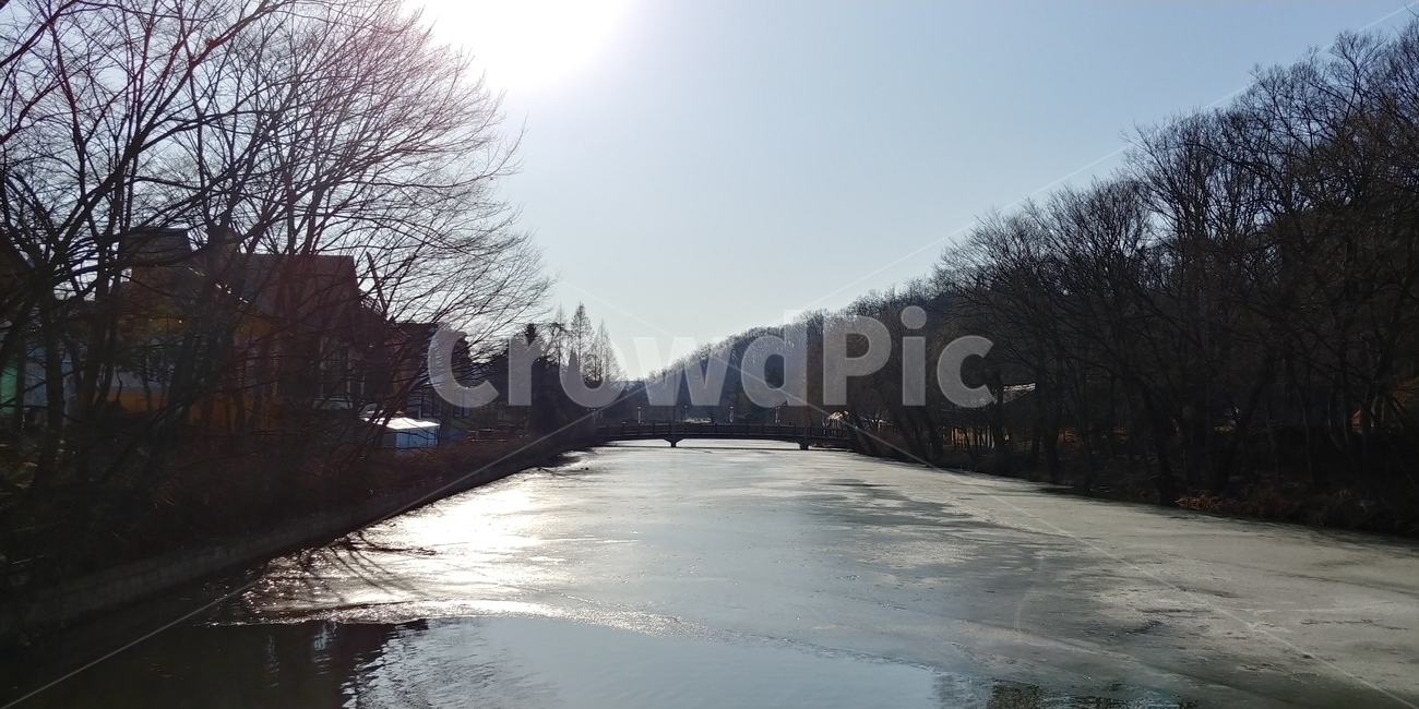 나무,강,자연,태양,풍경,tree,nature,scenery,river,sun,자연,풍경,nature,landscape,outdoors,옥외,water,물