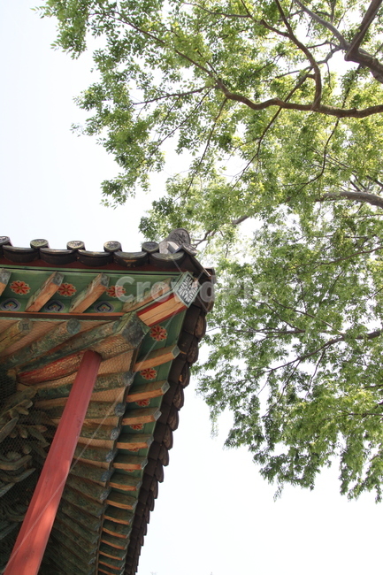 전통,기와,하늘,처마,맑음,한국전통,한국문화,korean traditional,korean culture,건축물,건물외관,exterior,building,structure,architecture,construction