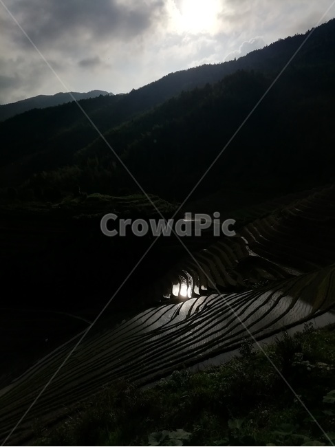 음영,다락논,계림,다락논저녁,다락논새벽,자연,풍경,nature,landscape,농업,농사,agriculture,farming,farming industry,light,빛,flare,플레어,outdoors,옥외