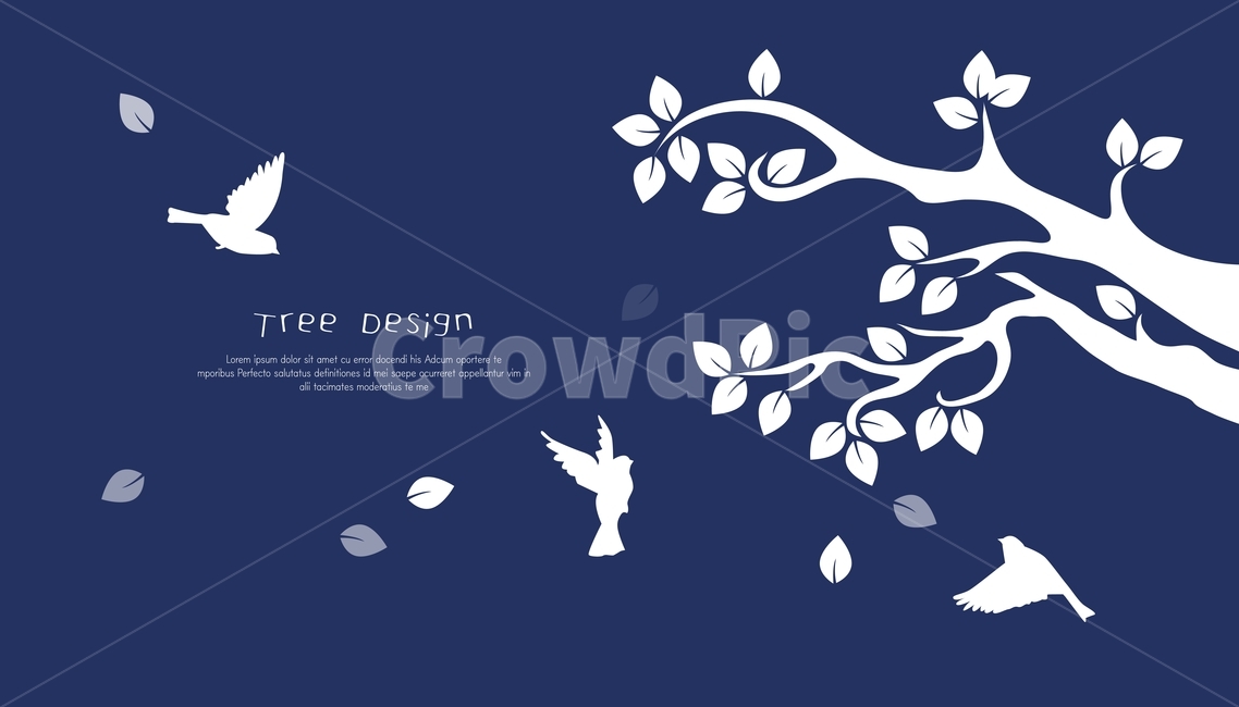 새,동물,잎,나무,겨울,식물,가지,식물,자연,plants,nature,나무,trees,wood,그래픽,일러스트레이션,graphic,illustration