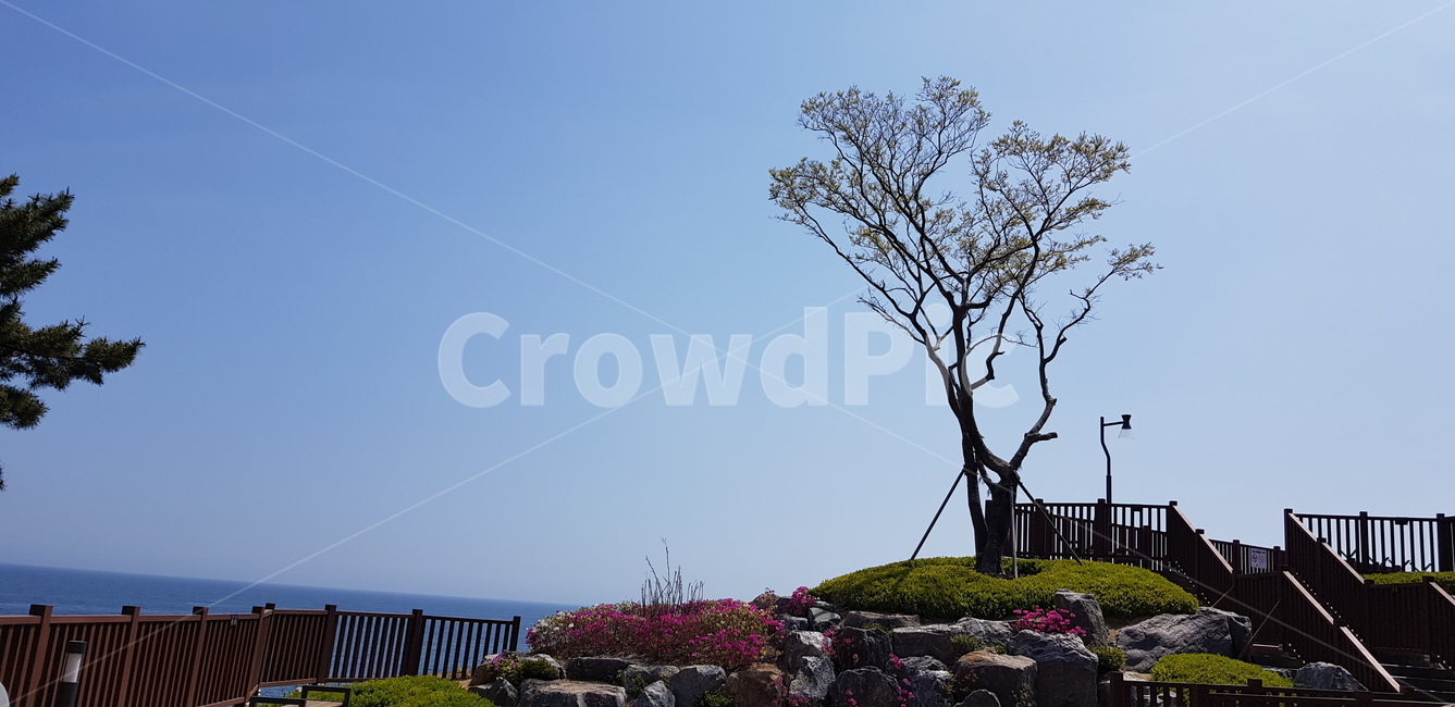하늘색,바다,풍경,바람,외로움