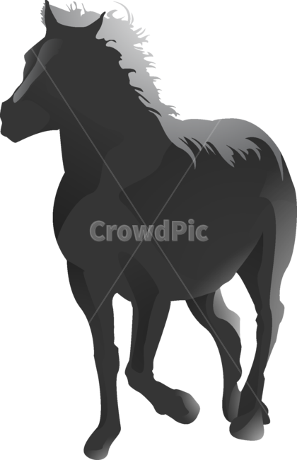 말,흑마,일러,흑백,horse,black