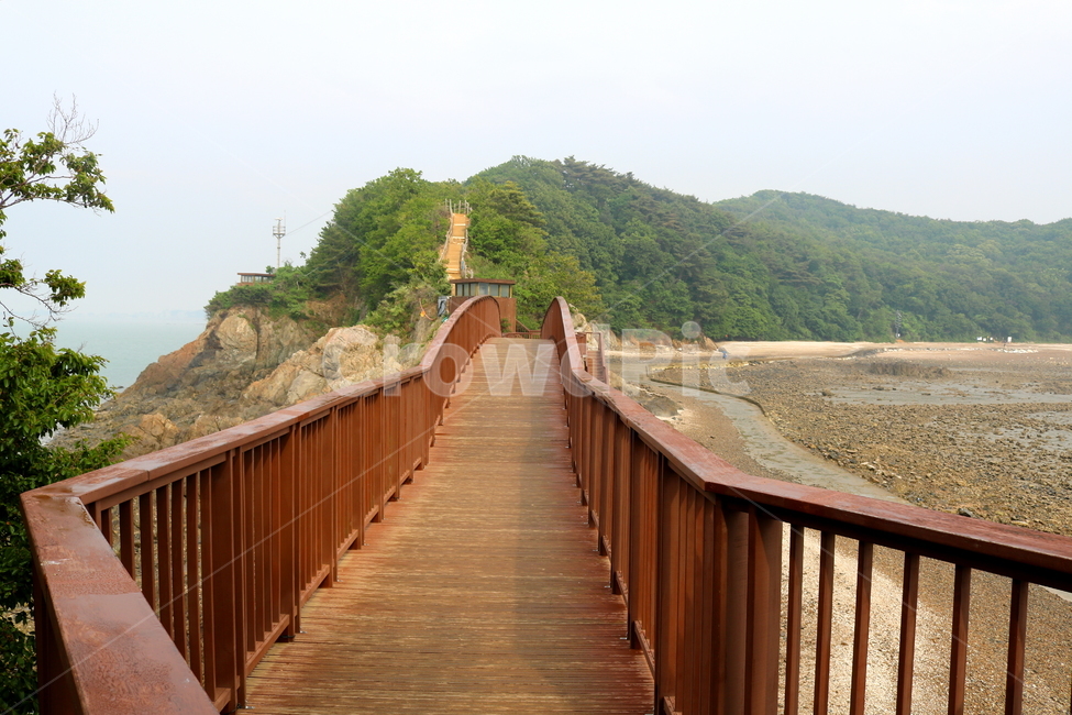 다리,대부도,해솔길,개미허리아치교,아치교,구봉도,바다,나무,자연,풍경,자연,풍경,nature,landscape,한국자연풍경,한국자연경관,korea nature landscape,railing,난간,handrail,banister,building,건물,boardwalk,산책로,bridge