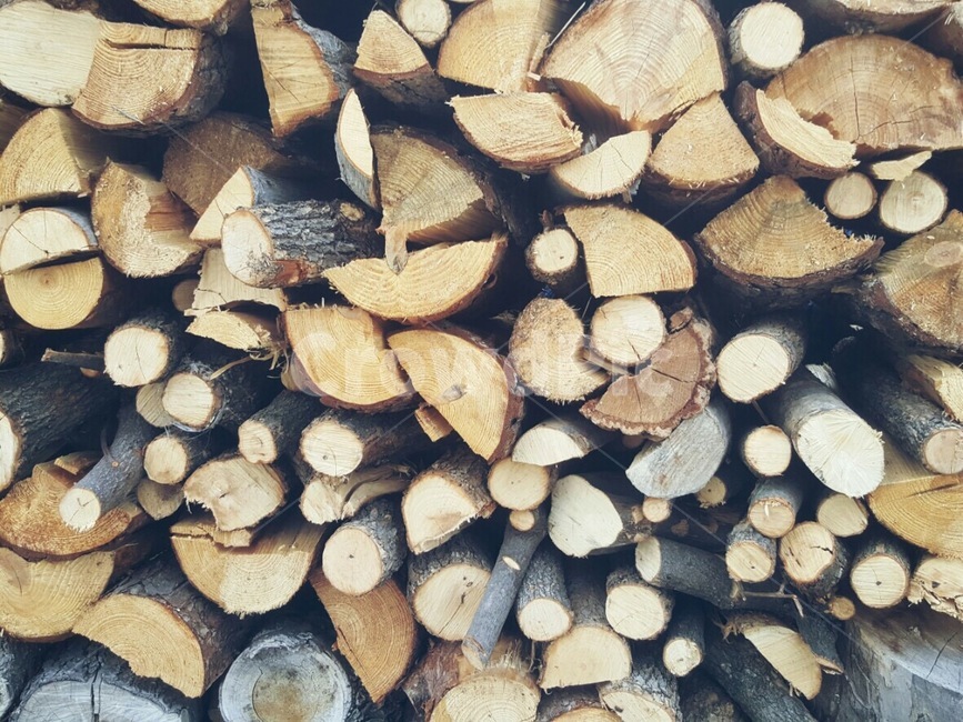 장작,땔감,나무,겨울,시골,나무,trees,wood