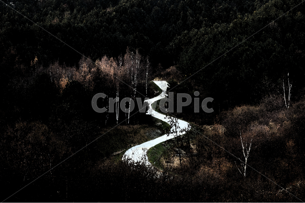 길,목표,희망,가이드,인생,자연,풍경,nature,landscape,outdoors,옥외
