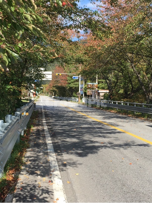 죽산교,다리,교각,주암호,가을풍경,가을,풍경,화순군,보성군,자연,풍경,nature,landscape,road,도로,asphalt,아스팔트