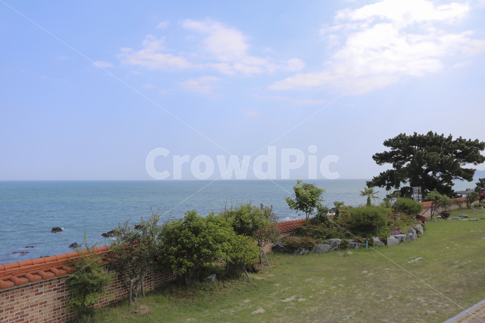 경주,바다,경주바다,주상절리,수평선,자연,nature,outdoors