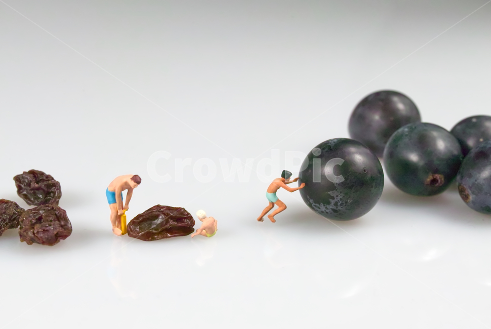 포도,건포도,에어펌프,공기주입,grape,raisin,과일,제철과일,바람주입,주름,안티에이징,해수욕,수영복,튜브,튜브놀이,레져,레져용품,연출,컨셉,콘셉,direction,concept
