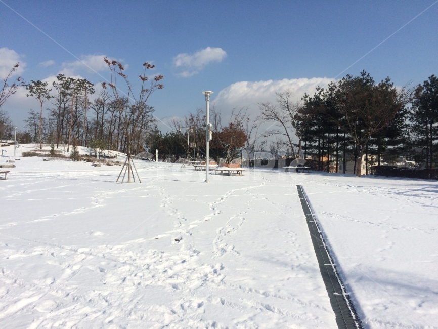 겨울,하늘,구름,눈,공원,산책,겨울,계절,winter,season