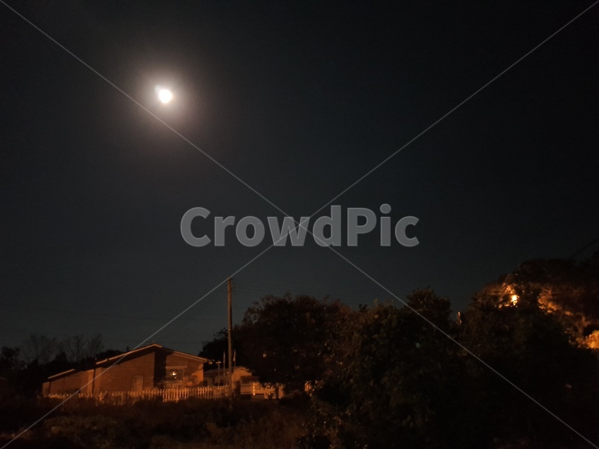 밤하늘,달,집,자연,나무,야경,밤,풍경,nightscape,night,landscape,nature,outdoors,옥외