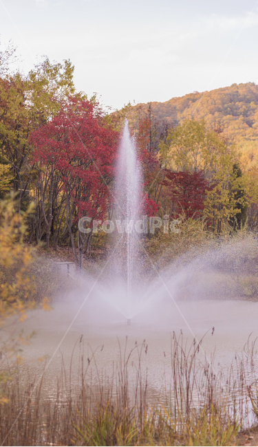 분수,물,water,단풍,자연,가을,계절,fall,autumn,season,자연,풍경,nature,landscape