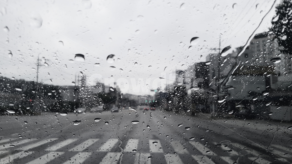 비,도로,길,신호등,횡단보도,흐림,봄비,대로,비,비오는날,rain,rainy