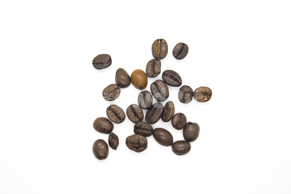 커피,콩,커피콩,coffee,원두,bean,coffeebean,검정,갈색,흙,커피,카페,coffee,cafe,누끼,remove background